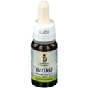 NASYAMAP OLIO GOCCE 10 ML