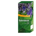 SALVIDENT SPRAY 20 ML