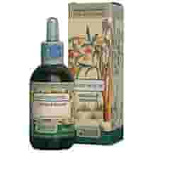 Magenhause gocce 50ml per il benessere digestivo