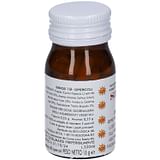 SIBIOS 19 TRONCHETTI 25 G