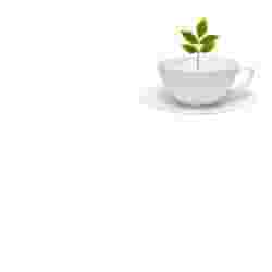 TISACELL MISC ERBE 100G TT