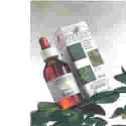 Tintura Madre di Agnocasto Frutti, 100ml