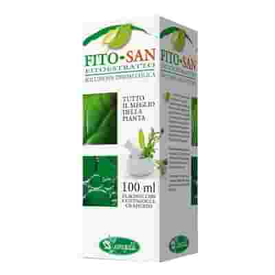 GINKGO BILOBA FOGLIE 100 ML TINTURA MADRE
