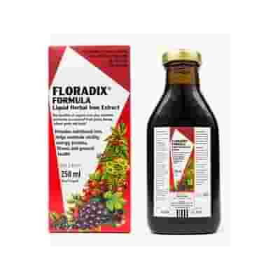 FLORADIX FERRO E VITAMINE 250 ML