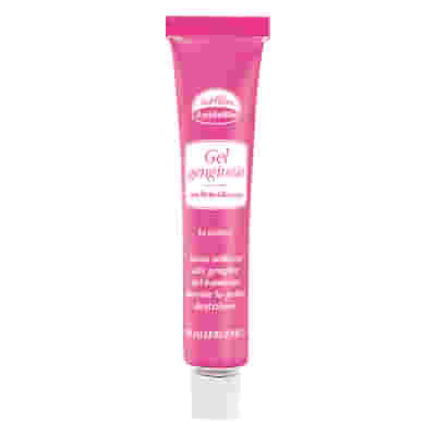 EUPHIDRA AMIDOMIO GEL GENGIVE 15 ML