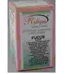 RUBIGEN FUCUS 60 CAPSULE