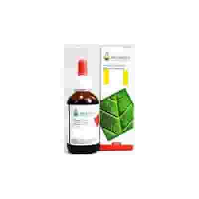 FUCUS SOL IAL 50ML