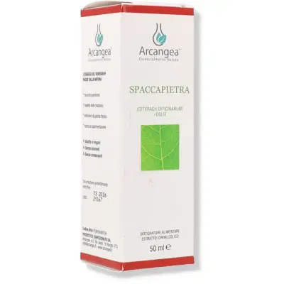 ARCANGEA SPACCAPIETRA SOLUZIONE IDROALCOLICA 50 ML ARCANGEA SPACCAPIETRA SOLUZIONE IDROALCOLICA 50 ML
