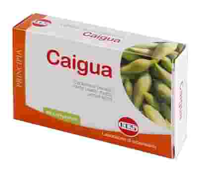 CAIGUA ESTRATTO SECCO 60 COMPRESSE