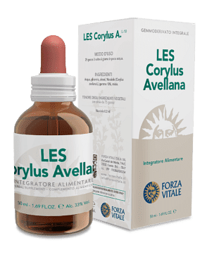 Les Corylus Avellana Gocce 50 Ml