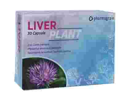 LIVER PLANT 30 CAPSULE