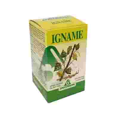 IGNAME ERBE 60TAV