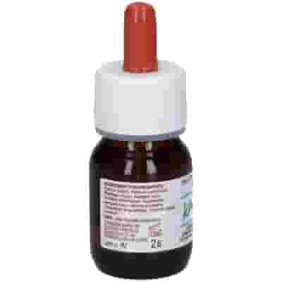 Olio Massaggio KA Planta Oleolito con Piante, 30ml