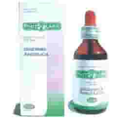 PHITOLARIX ANGELICA 100 ML