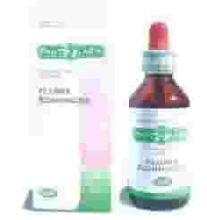 PHITOLARIX ECHINACEA 100 ML