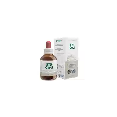 SYS CARVI GOCCE 50 ML PROFESSIONAL