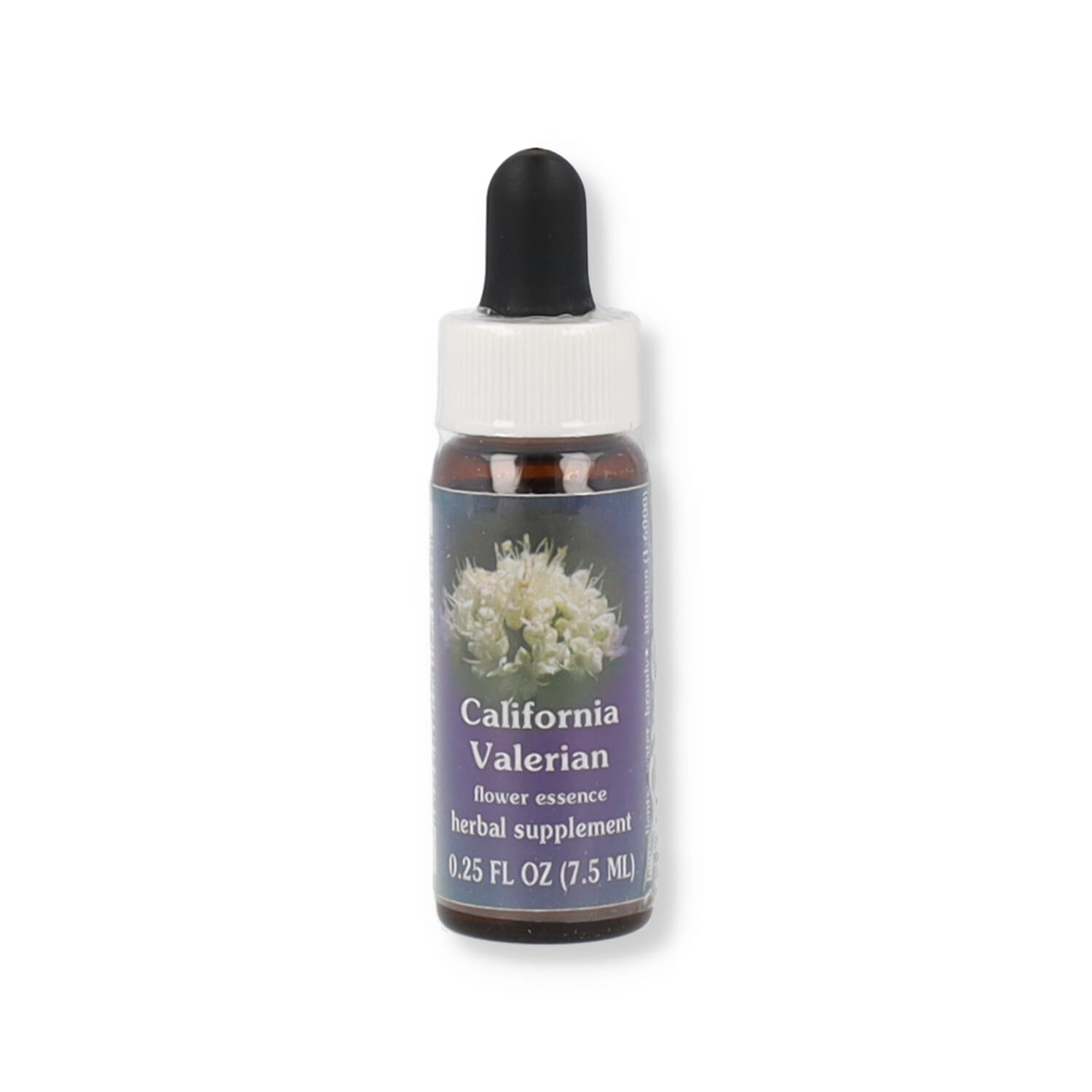 CALIFORNIA V ESS 7,4ML