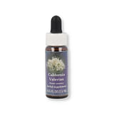 CALIFORNIA V ESS 7,4ML