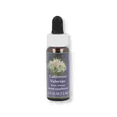 CALIFORNIA V ESS 7,4ML