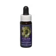 CORN LILY ESS 7,4ML