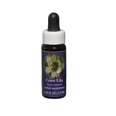 CORN LILY ESS 7,4ML