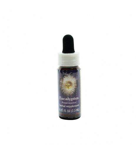 Eucalypstus Ess 7,4 Ml