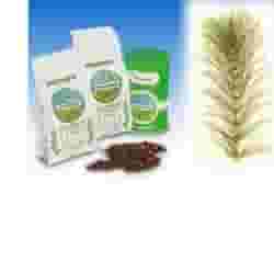 EQUISETO SOMMITA' TAGLIO TISANA 1000 G