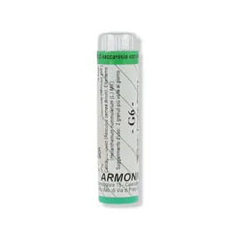 Armonic G6 70 G