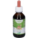 ZEF03 GASTRO PLANT STV