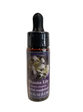SHASTA LILY ESS 7,4ML