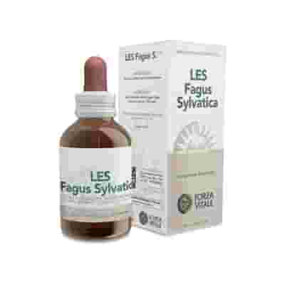 Les Fagus Sylvatica Integratore drenante e depurativo in gocce 50 ml