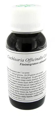 LVS 11N COCHLEARIA OFFICINALIS COMPOSITUM LVS 11N COCHLEARIA OFFICINALIS COMPOSITUM