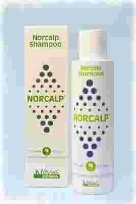 NORCALP SH 150ML