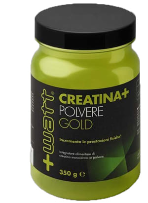 Creatina+ Polvere Gold 350 G
