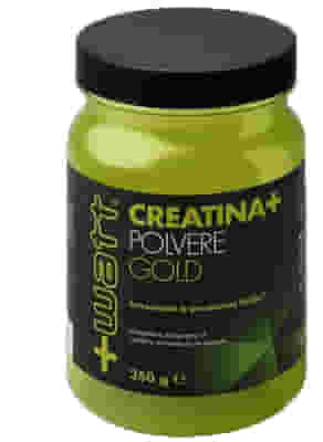 CREATINA+ POLVERE GOLD 350 G