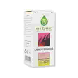 ERBEX CARBONE VEGETALE 60 COMPRESSE