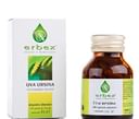 UVA URSINA 160 COMPRESSE