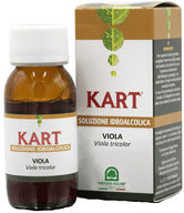 KART VIOLA SOLUZIONE IDROALCOLICA 50 ML