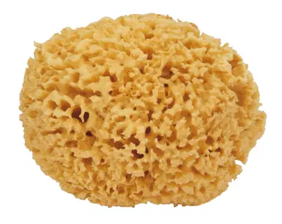 SPUGNA NATURALE MAXI SPUGNA NATURALE MAXI