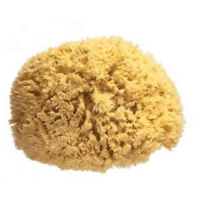 Spugna Naturale di Mare Safety Grande, per pelli delicate