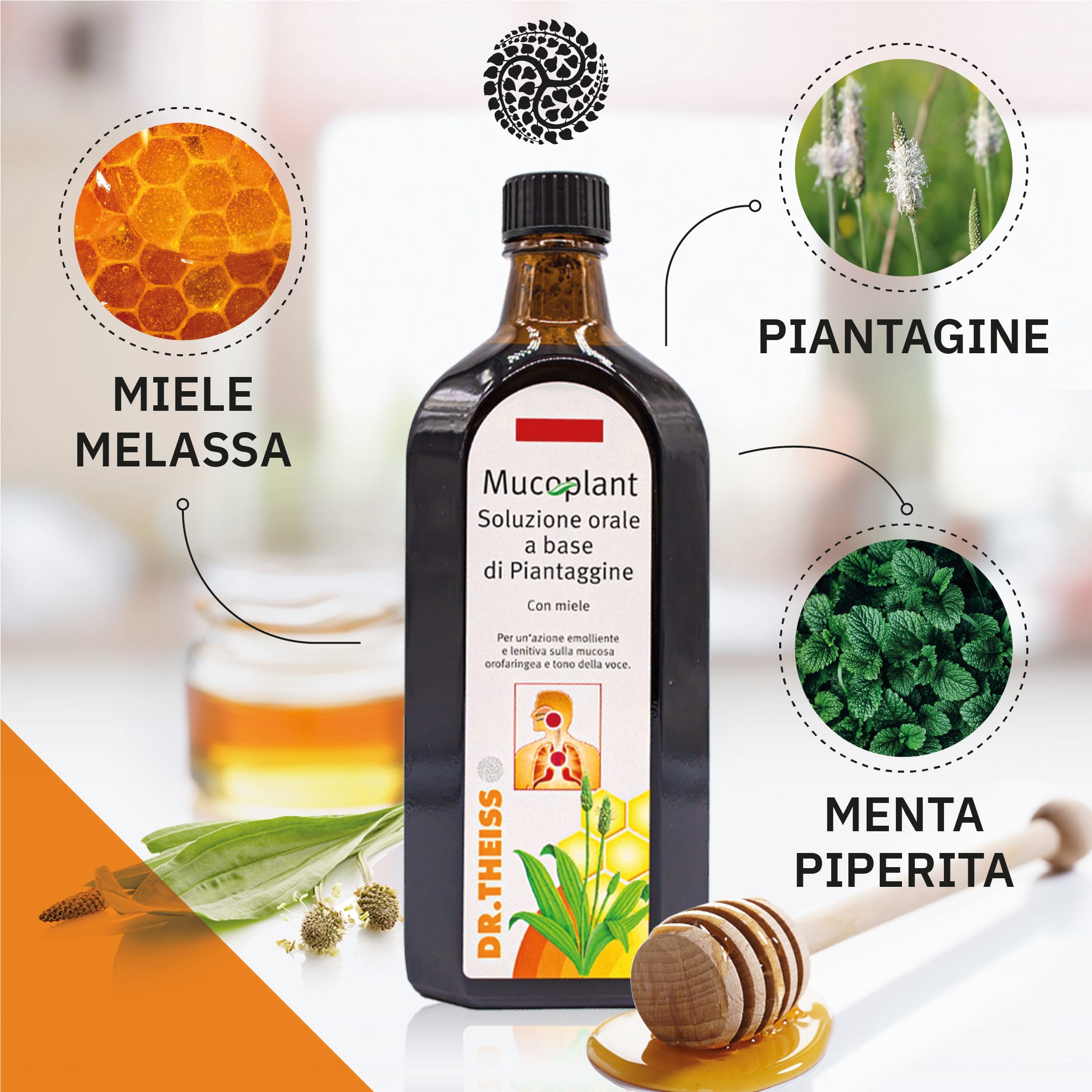 THEISS MUCOPLANT PIANTAGGINE 250 ML