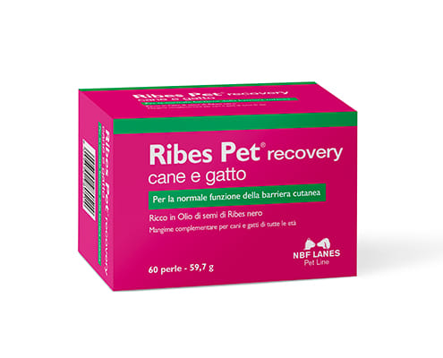 Ribes Pet Blister 30 Perle