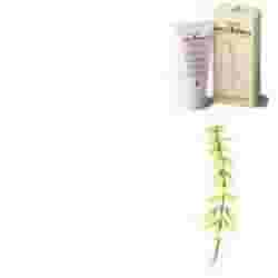 MELITONKA CREMA 125 ML