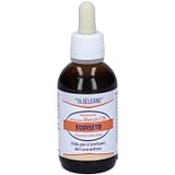 FITOPREPARATORI ITALIANI EQUISETO TINTURA MADRE 50 ML