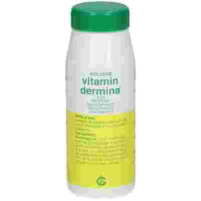 VITAMINDERMINA POLVERE MENT 100 G