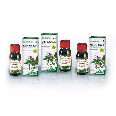 GEMMOSOL 15 CARPINO 50ML MG GEMMOSOL 15 CARPINO 50ML MG