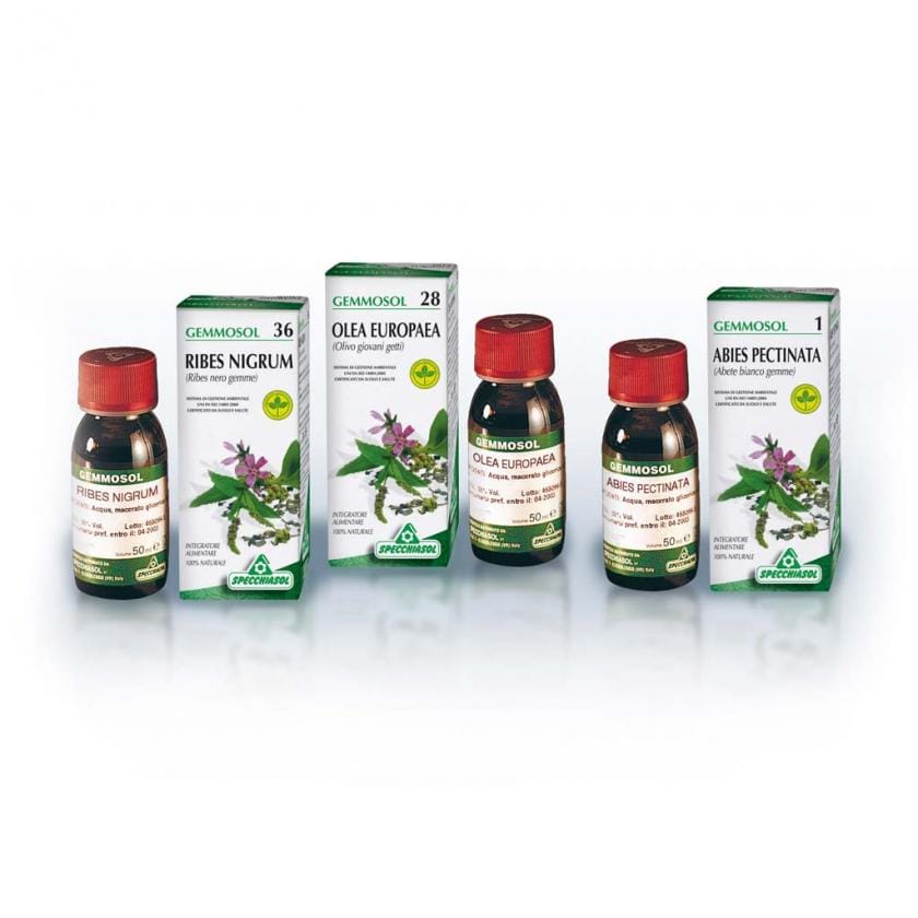 Gemmosol 24 Fico gemmoderivato per il benessere digestivo 50ml