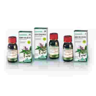 Gemmosol 24 Fico gemmoderivato per il benessere digestivo 50ml