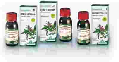 GEMMOSOL 40 LAMPONE 50ML
