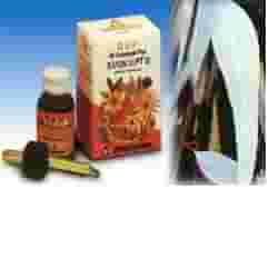 SPECCHIASOL EUCALIPTO OLIO ESSENZIALE 10 ML